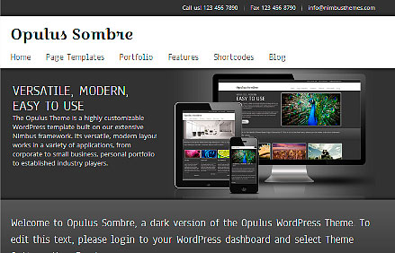 Responsive WordPress Theme